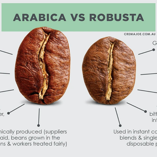 Arabica vs Robusta coffee beans, & how they affect coffee pod strength